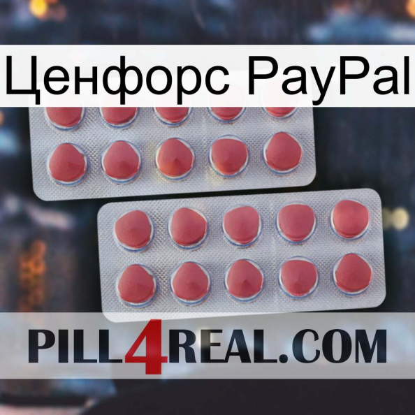 Ценфорс PayPal 19.jpg